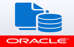 Oracle数据库管理工具有哪些?-北京MK体育手机登录入口公司