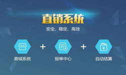 手机直销系统MK体育手机登录入口价格-北京软件外包公司