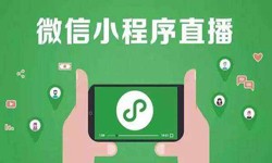 微信小程序开发、直播小程序开发-MK体育手机登录入口MK体育手机登录入口公司 