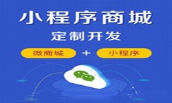 微信小程序开发、商城小程序开发功能-MK体育手机登录入口MK体育手机登录入口
