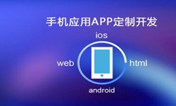 APP开发市场上常见问题分析-北京MK体育手机登录入口公司