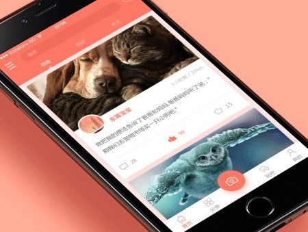 宠物医院App开发的价值和相关功能-北京MK体育手机登录入口